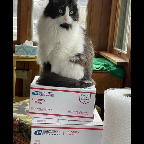 BUNDLES 2+ 15% OFF OR MORE! - Picture 3 of 3